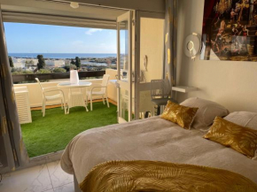 SHOWTIME NATURISTE PORT NATURE 6 parking privé clim ascenseur vue mer